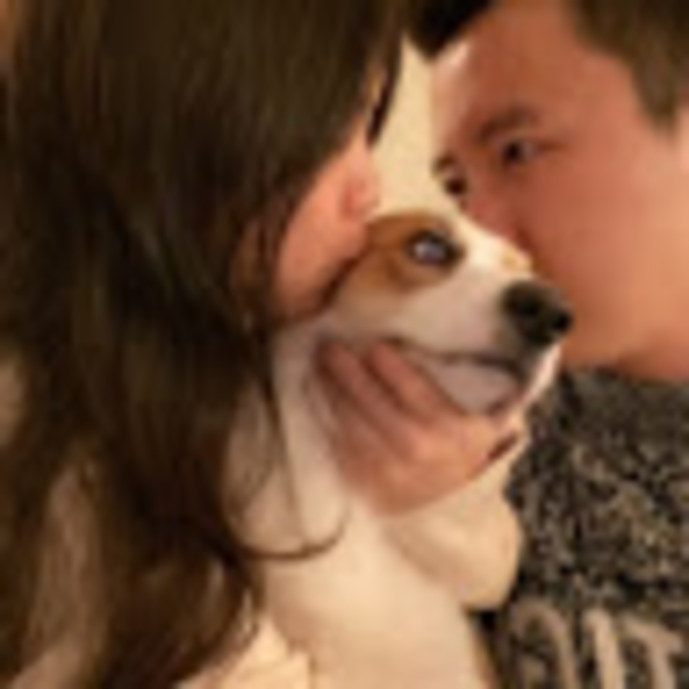 Meet your Posher, Jiaxin